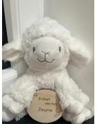 Carte de bienvenue bébé