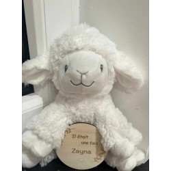 Carte de bienvenue bébé