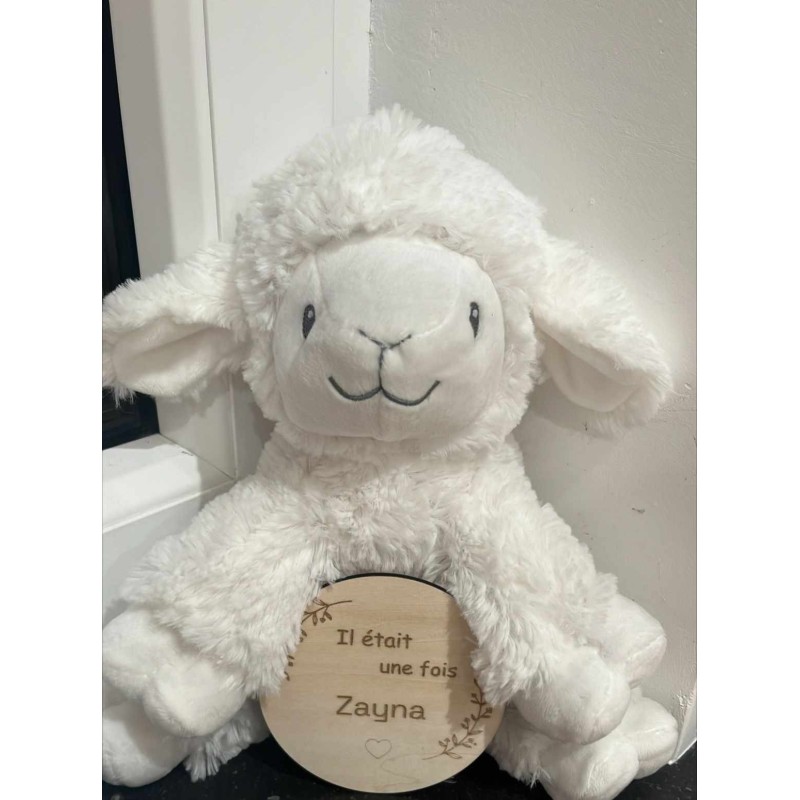 Carte de bienvenue bébé